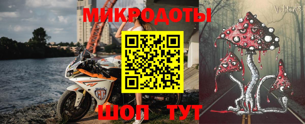 Куйбышев  Псилоцибиновые грибы прущие грибы  Вход с VPN 