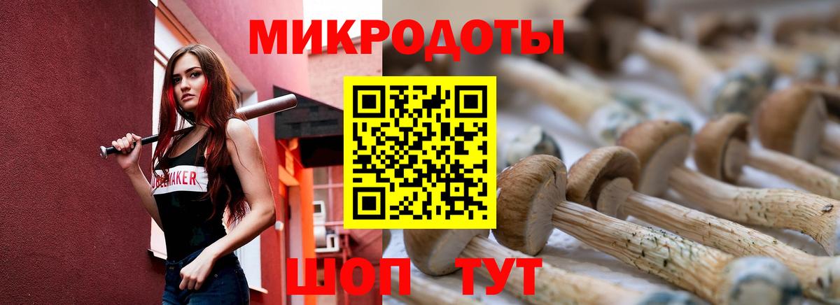 Галлюциногенные грибы прущие грибы Куйбышев